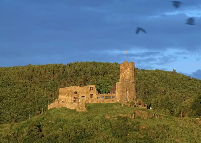 Bernkasteler Moselapartments * Bernkastel-Kues