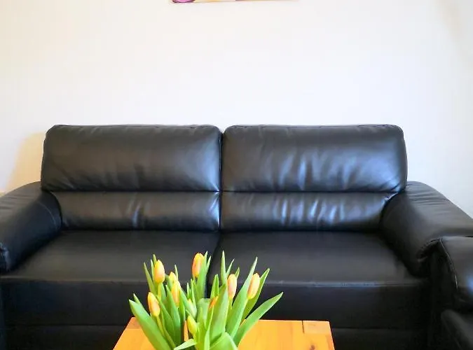 Bernkasteler Moselapartments Daire